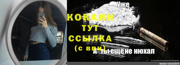 гидропоника Алзамай