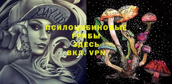 гидропоника Алзамай