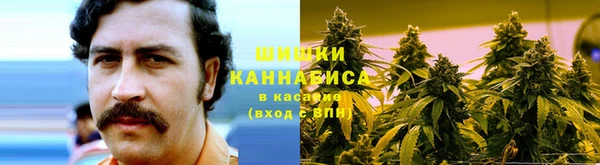 гидропоника Алзамай