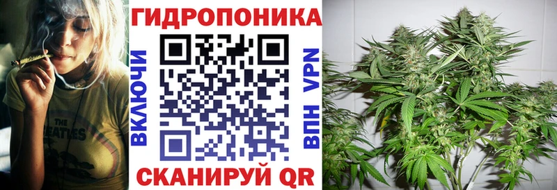 Конопля семена  Арамиль 